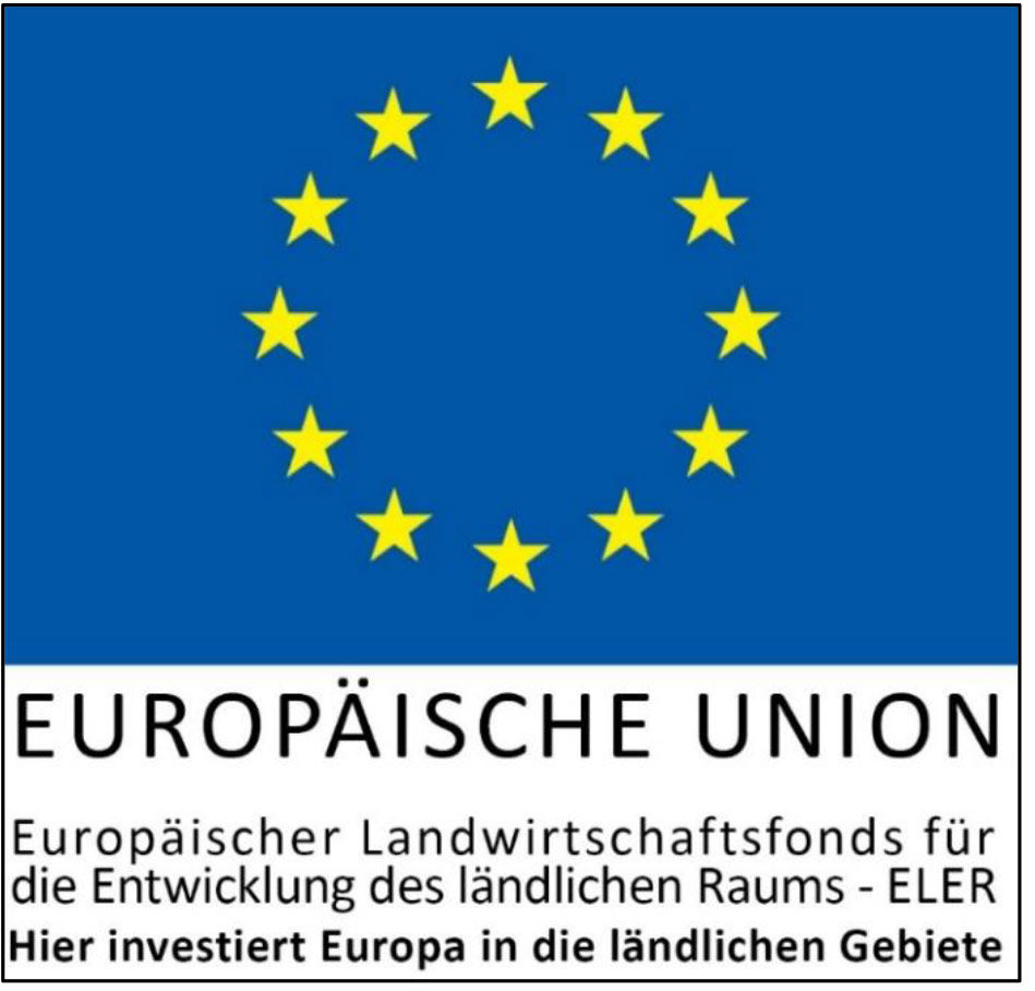 Logo Europäische Union